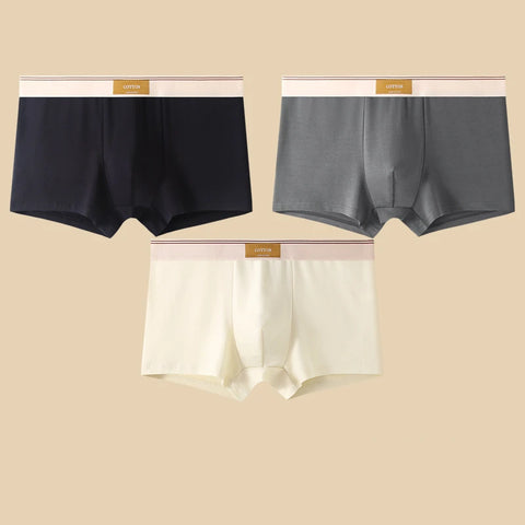 3Pcs Men's Comfortable Cotton Boxer Shorts