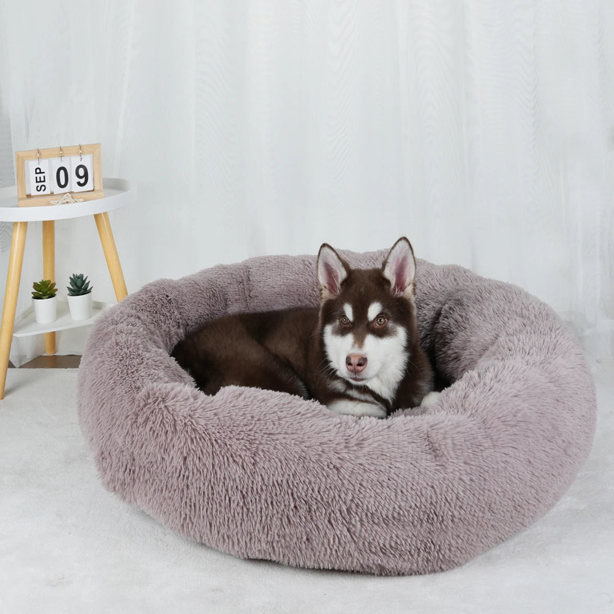 Luxury Plush Dog Bed - Large Washable Pet Furniture for Comfort