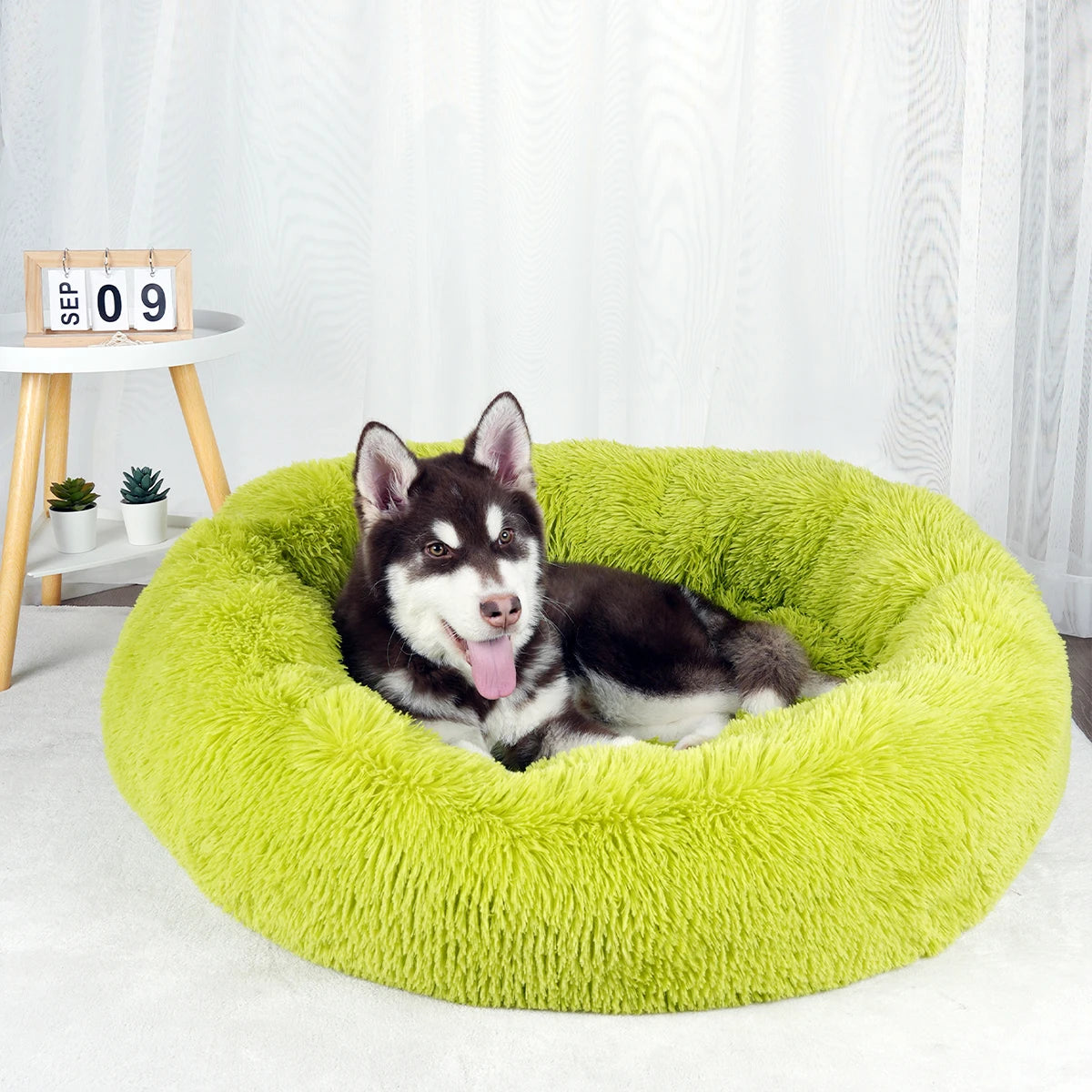 Luxury Plush Dog Bed - Large Washable Pet Furniture for Comfort