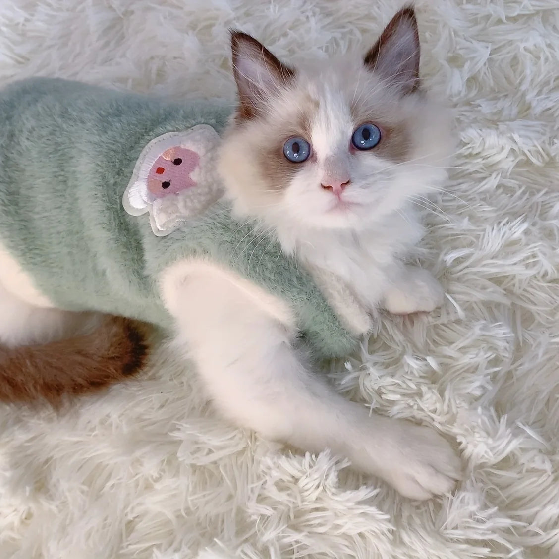 Cozy Winter Apparel for Kittens and Small Dogs - Warm Accessories for Pets