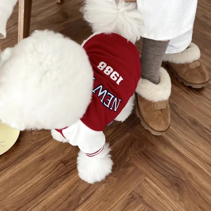 Fashion Winter Pet Baseball Clothes Suit for Small Dogs - Stylish Contrasting Coat for Puppies