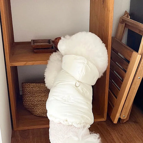 Fashion Bow-Embroidered Dog Coat - Stylish Hooded Down Jacket for Winter Warmth